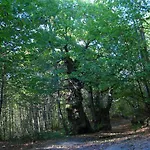Apartamentos A Fala En San Martin De Trevejo, Batuecas 1 Y Trevejo, Pizarro 24, Sierra De Gata Trevejo