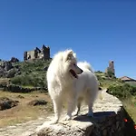 公寓 Apartamentos A Fala En San Martin De Trevejo, Batuecas 1 Y Trevejo, Pizarro 24, Sierra De Gata Trevejo