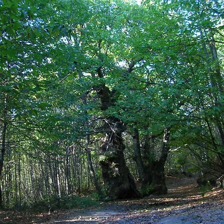 A Fala En Y San Martin De Trevejo, Sierra De Gata Trevejo
