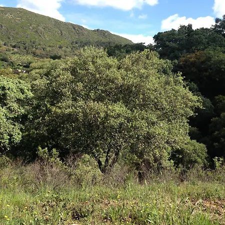 A Fala En Y San Martin De Trevejo, Sierra De Gata