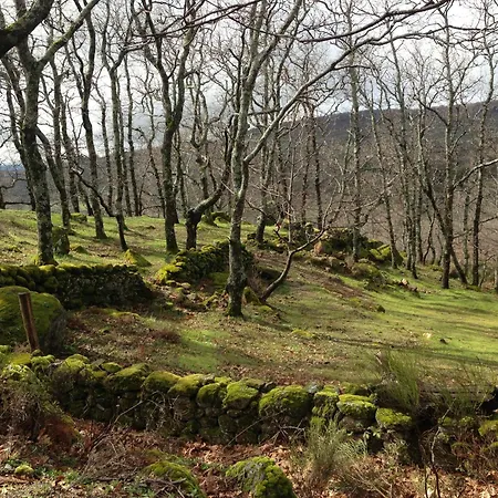 Apartamento A Fala En Y San Martin De Trevejo, Sierra De Gata Trevejo